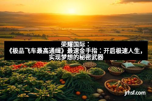 荣耀国际：《极品飞车最高通缉》最速金手指：开启极速人生，实现梦想的秘密武器